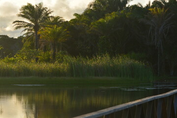praia do forte - bahia