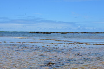 praia do forte - bahia
