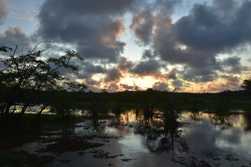 praia do forte - bahia