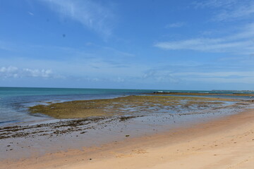 praia do forte - bahia