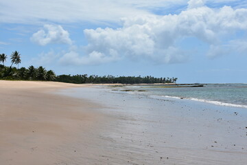 Obraz premium praia do forte - bahia