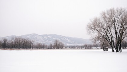 Snowy Landscape with Bare Trees and Mountains in the Distance