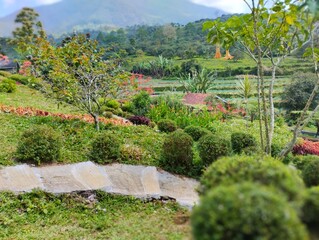 beautiful garden view with various plants and flowers located on the hillside 