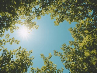 A breathtaking view of sun rays filtering through lush green leaves, creating a natural canopy against a clear blue sky.