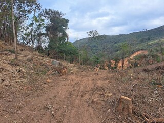 Uma paisagem de uma área desmatada