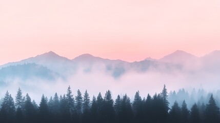 Obraz premium Serene pink sky, a captivating display of pastel hues at dawn