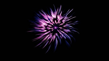Fototapeta premium Fireworks, Celebration, winner, New year party, anniversary poster and banner design background.