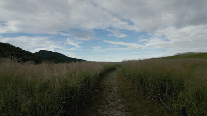 曽爾高原ドローン空撮47