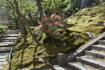 常寂光寺　苔庭　京都市右京区嵯峨