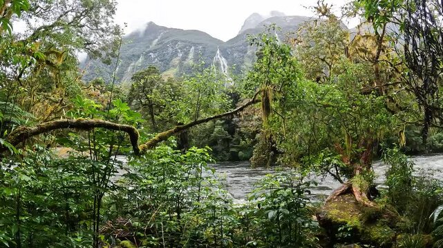 Rainy Day at Sandfly Point: Dramatic Waterfalls Cascading from Lush Cliffs in Fiordland National Park, New Zealand
