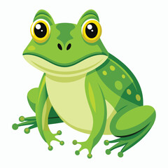 Fototapeta premium vector frog on white background