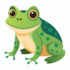 Fototapeta premium vector frog on white background