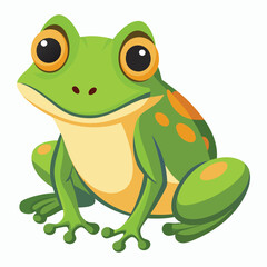 vector frog on white background
