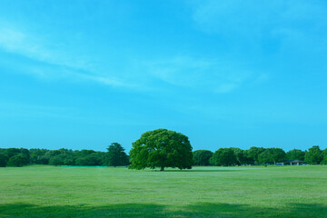 Green Park