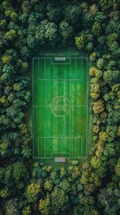 Aerial view of a soccer field surrounded by trees. The image depicts a hidden sports field, showcasing the beauty of nature.