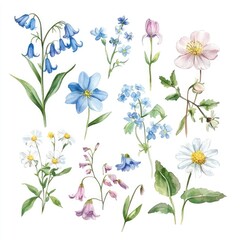 Fototapeta premium A vibrant collection of wildflowers illustrating nature's beauty and diversity in delicate watercolor art