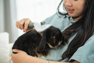 Asian woman is brushing a rabbit. The rabbit is black and white. The woman is wearing a blue shirt