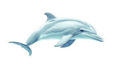 Fototapeta premium Playful dolphin leaps from the ocean depths in a display of grace and agility