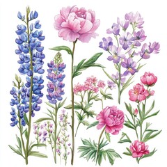 A vibrant display of wildflowers exploring the beauty of nature through detailed botanical illustrations