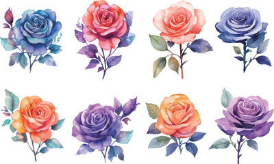 Fototapeta premium set of roses illustration