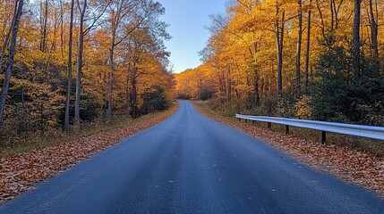 Obraz premium panoramic view of an autumn forest road, with bright sunlight and white guardrail alongside.image