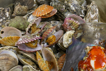 Korean Seafood Food. Steamed oysters and clams