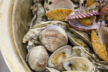 Korean Seafood Food. Steamed oysters and clams