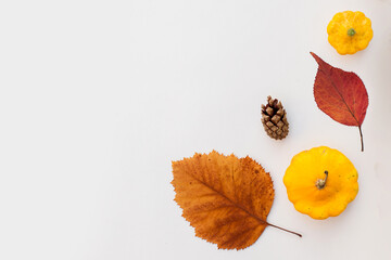 Autumn holiday frame composition with pattern made of leaf, punpkins, dried orange, pine cone on...