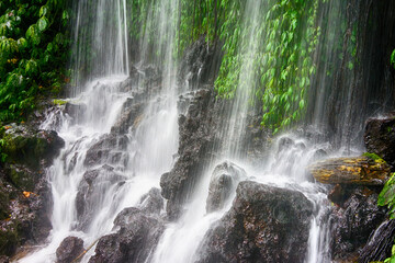 Fototapeta premium waterfall in the forest