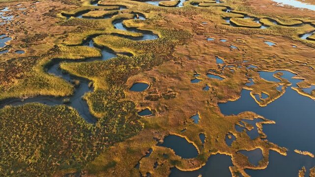 Aerial top down shot of Salt Marsh at sunrise. Cape Cod, Barnstable Massachusetts in autumn season. Colorful plants in salt marsh during fall season.
