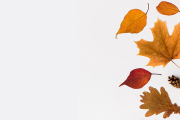 Autumn holiday frame composition with pattern made of leaf, punpkins, dried orange, pine cone on...