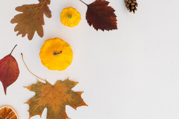 Autumn holiday frame composition with pattern made of leaf, punpkins, dried orange, pine cone on...