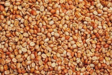 Fototapeta premium Coffee beans,In the ferment and wash method of wet processing