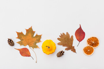 Autumn holiday frame composition with pattern made of leaf, punpkins, dried orange, pine cone on...