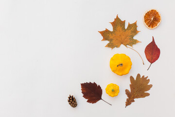 Autumn holiday frame composition with pattern made of leaf, punpkins, dried orange, pine cone on...