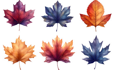 autumn leaves isolated on white