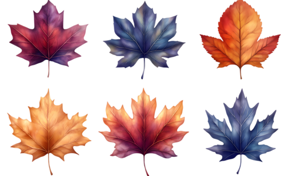 autumn leaves isolated on white