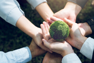 Concept of the Environment World Earth Day. Hands holding green earth, Saving environment, and environmentally sustainable.