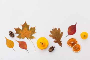 Autumn holiday frame composition with pattern made of leaf, punpkins, dried orange, pine cone on...