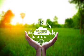 Carbon Credit Market and Net Zero. Carbon credit icon in hand on nature green background. There is...