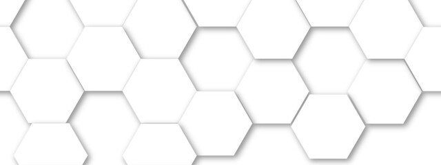Abstract white and gray hexagon technology lines background. Abstract white and grey color hexagonal geometric background with copy space. Abstract white lines background.