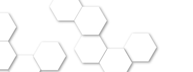 Abstract white hexagonal geometric background with shadow. Luxury white 3D futuristic honeycomb mosaic white background. Abstract white lines background. Vector Illustration.