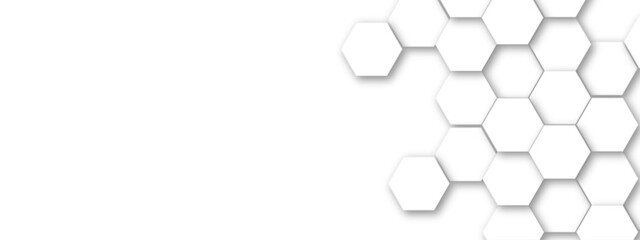 Abstract white hexagonal geometric background with shadow. Luxury white 3D futuristic honeycomb mosaic white background. Abstract white lines background. Vector Illustration.