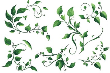 Decorative floral elements with green leaves. Vertical, horizontal,angle.