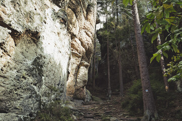 Böhmische Schweiz - Bohemian Switzerland - Czech Republic - National Park - Sandstone - Elbsandsteingebirge - Tschechien - Europa - Hintergrund - Natur - Landschaft