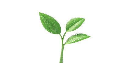 Close-up of green leaf stem with dew drops, symbolizing freshness, nature, and growth, isolated on transparent background.