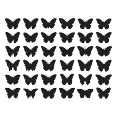 Fototapeta premium butterfly's silhouette