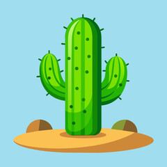 cactus in the desert