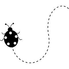 ladybug on white background