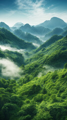 Mountains and fields